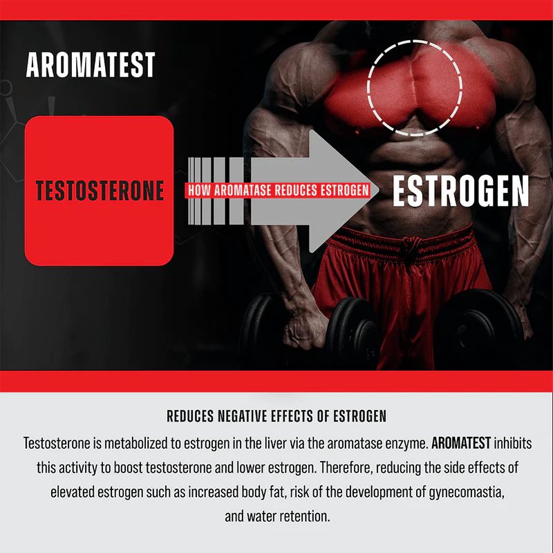 Muscle Meds Aromatest Reduces Negative Effects of Estrogen