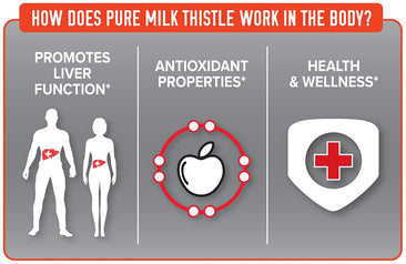 FINAFLEX Pure Milk Thistle usages