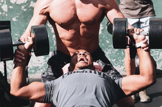 The Best Chest Exercises From Team Performax