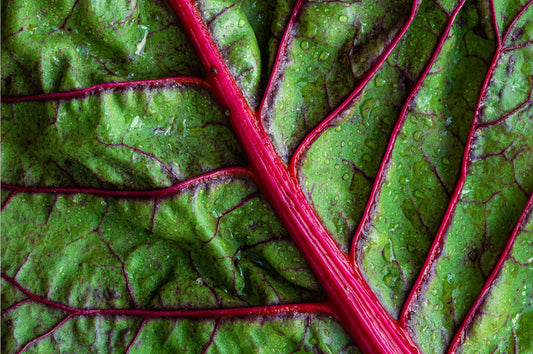 Red Spinach - Nature's Premier Nitric Oxide Booster