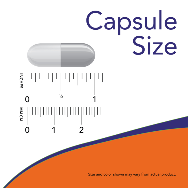 NOW Maximum Strength Grape Seed Extract Capsule size