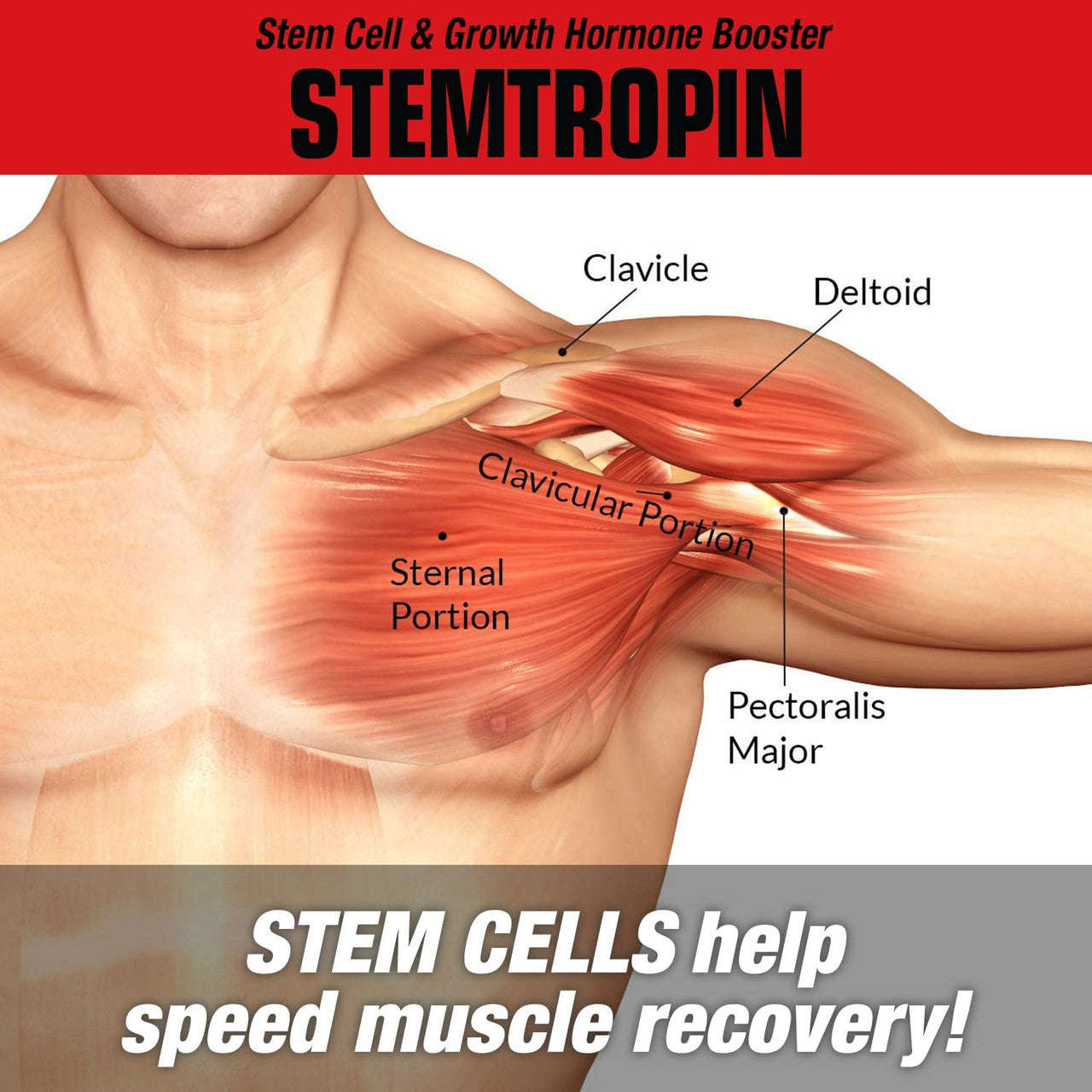 MuscleMeds Stemotopin Stem Cell effects
