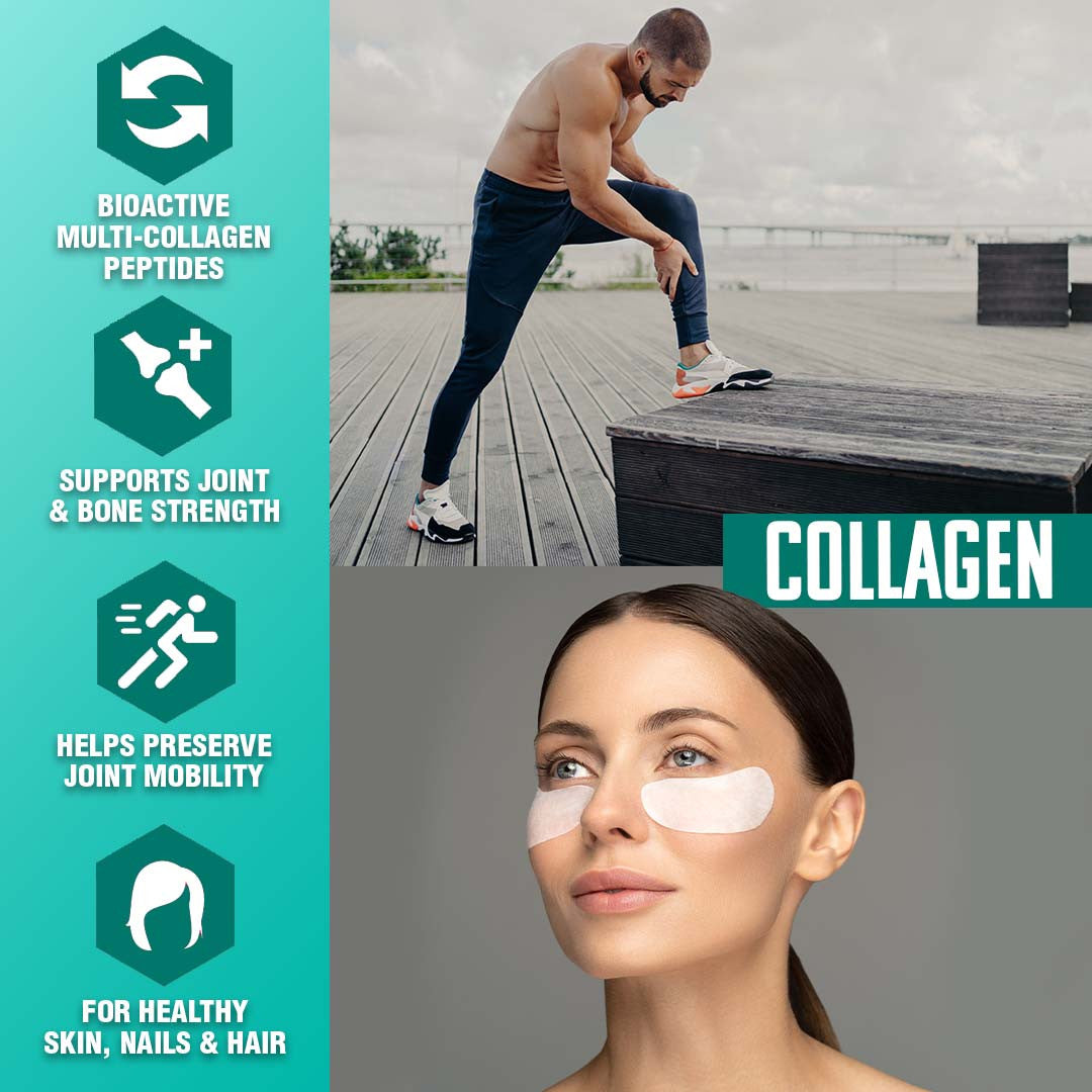 Nutrex Research Collagen Highlights 2