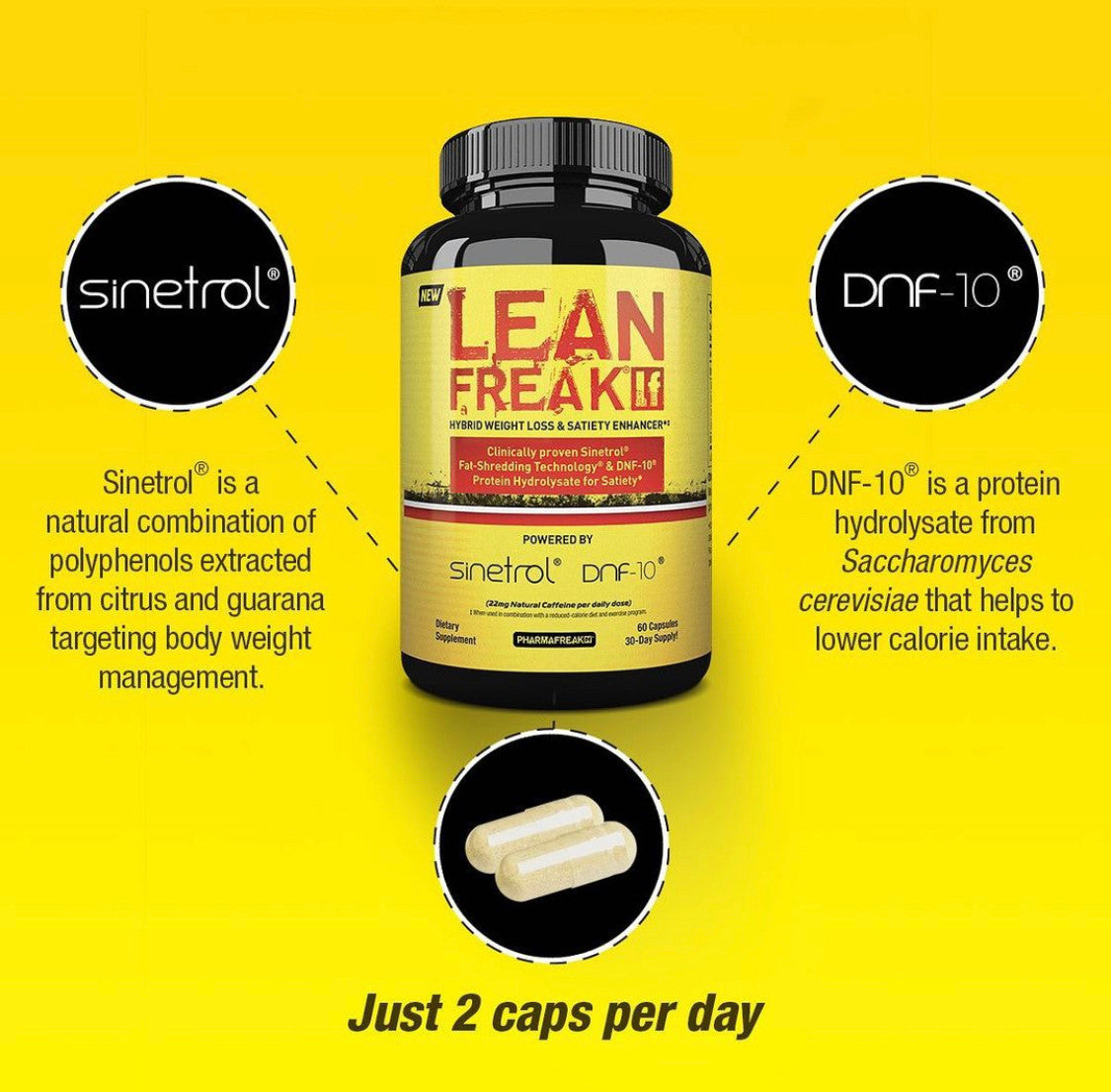 PharmaFreak Lean Freak Highlights