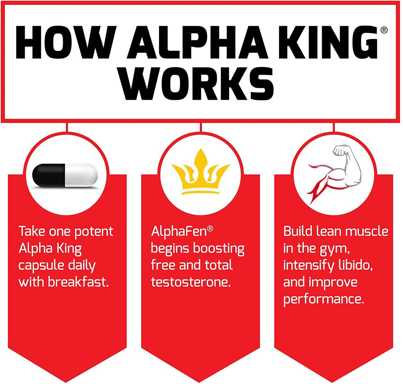 Force Factor Alpha King how it works