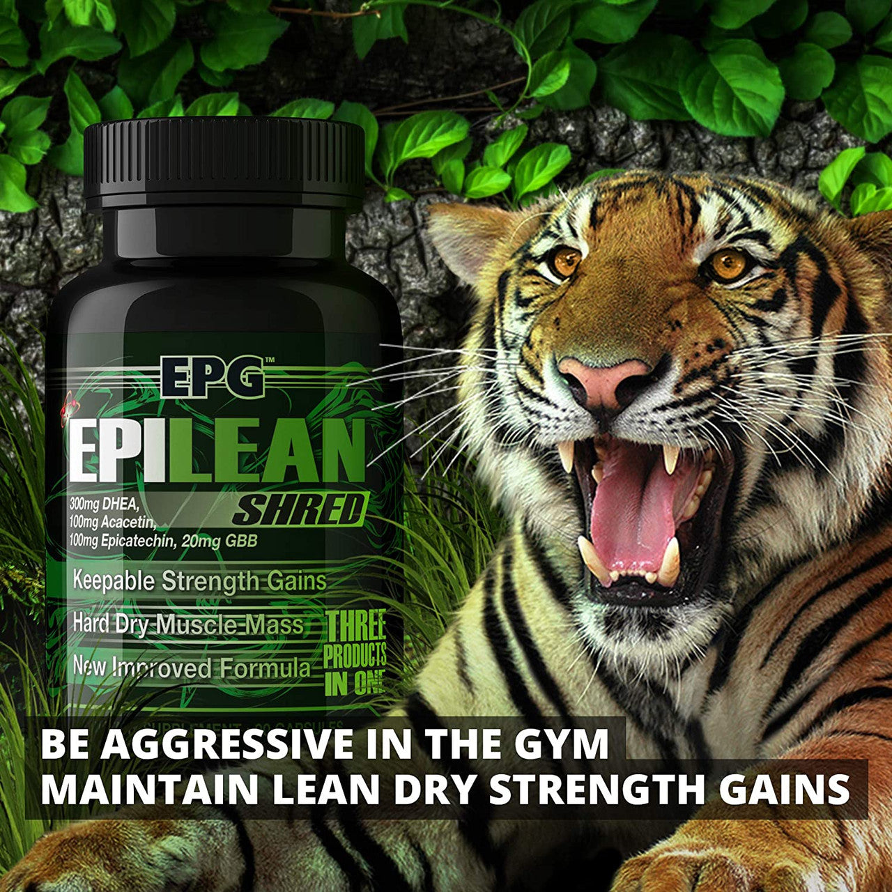 EPG Epilean Shred tiger highlight