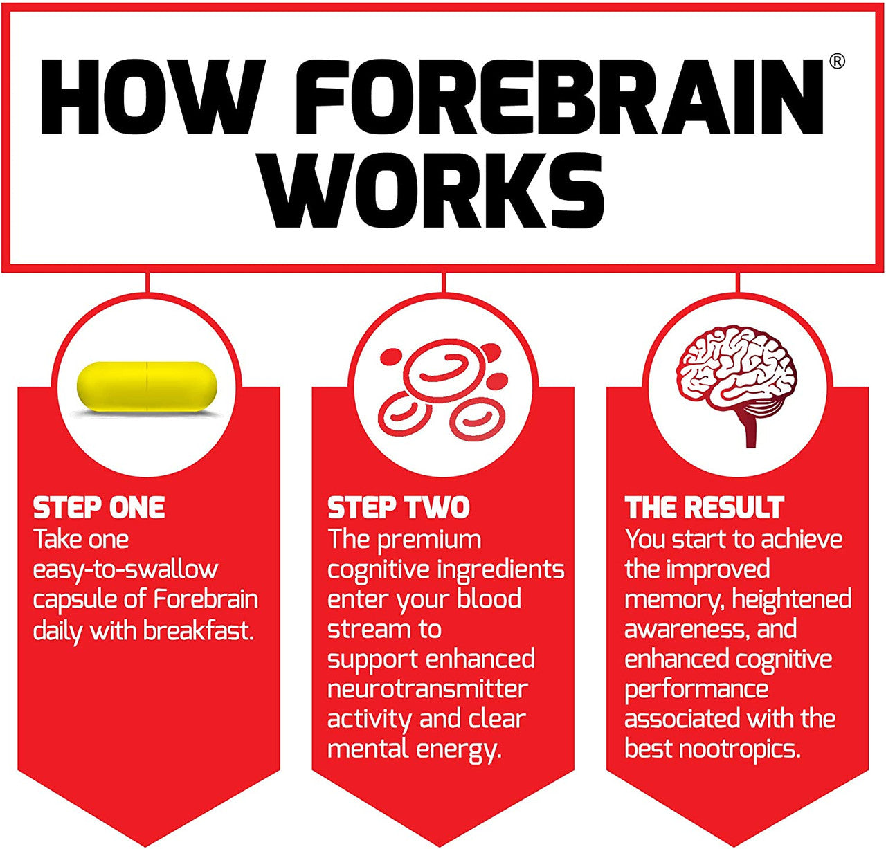 Force Factor ForeBrain how is works