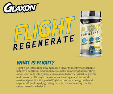 Glaxon Flight what is flight