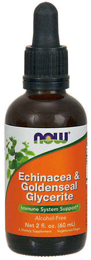 Now Echinacea & Goldenseal Glycerite Bottle