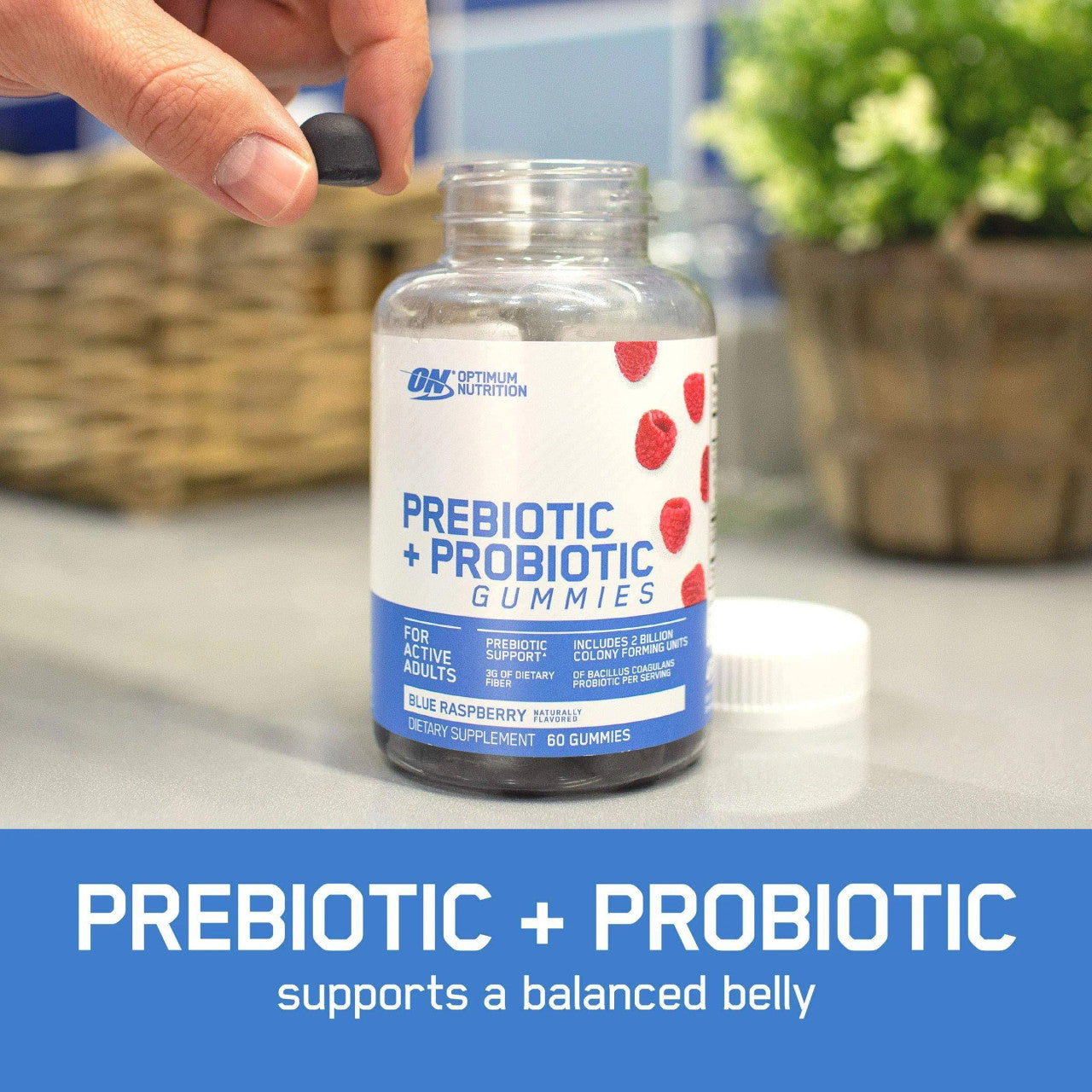 Optimum Nutrition Prebiotic + Probiotic Gummies Product Highlights Prebiotic + Probiotic