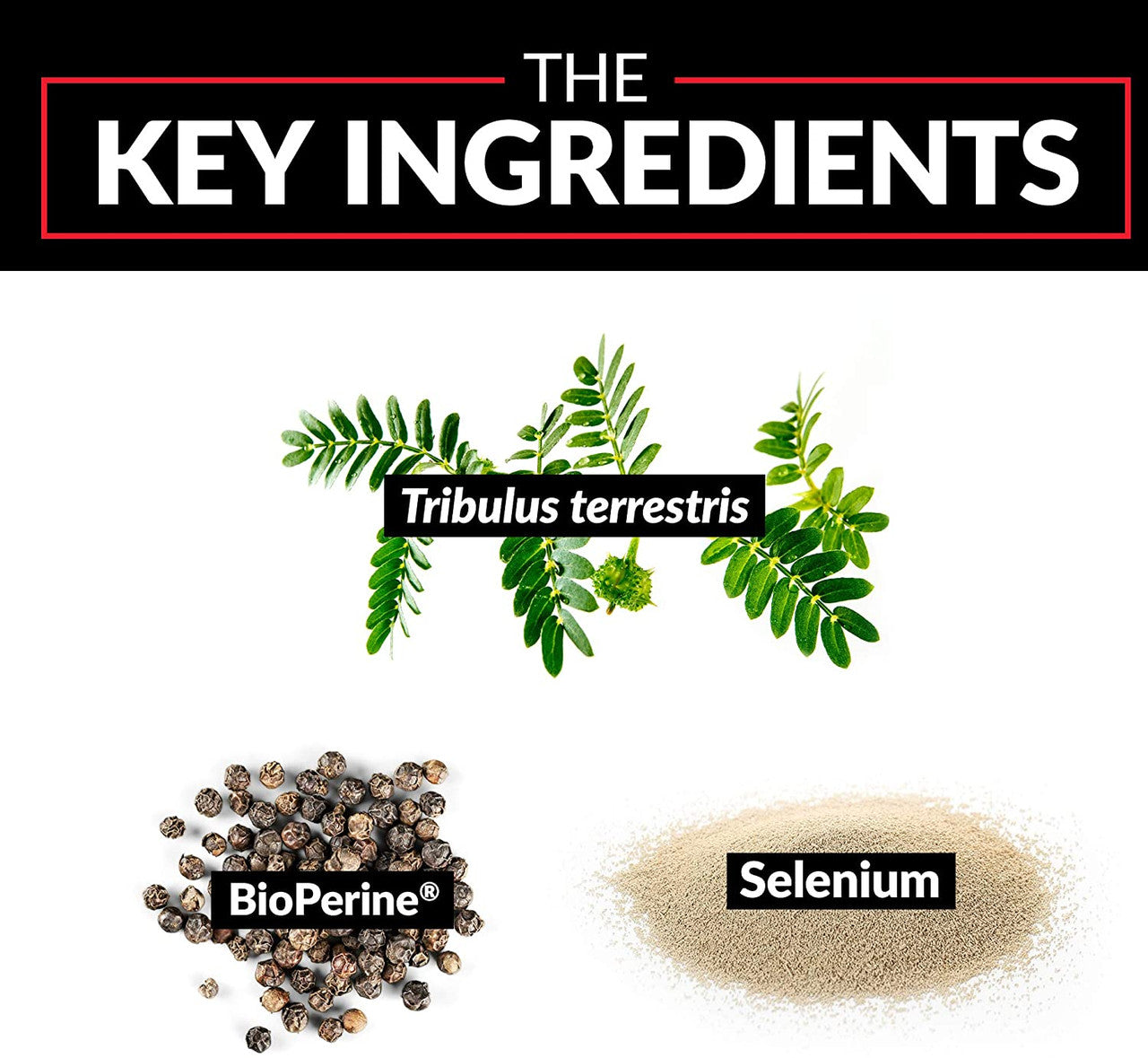 Force Factor Tribulus Terrestris key ingredients