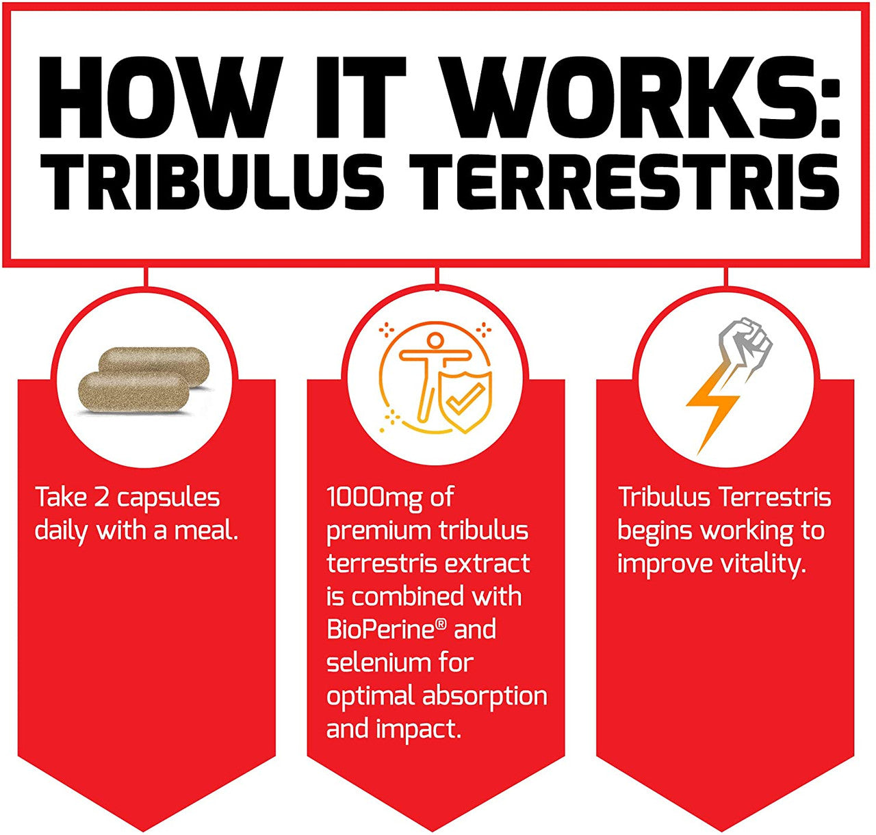 Force Factor Tribulus Terrestris how it works