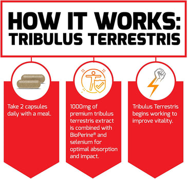 Force Factor Tribulus Terrestris how it works