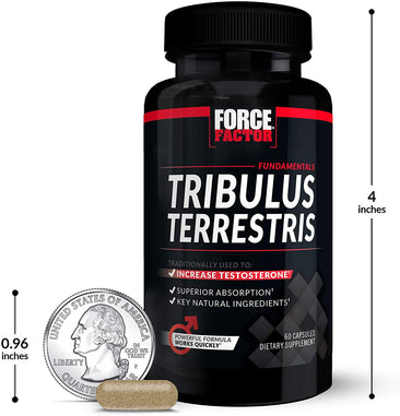Force Factor Tribulus Terrestris actual size