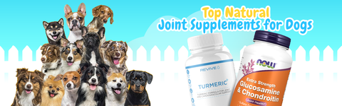 joint supplements for dogs